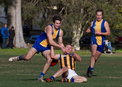 13662364_825076577627359_6879097354263441386_o