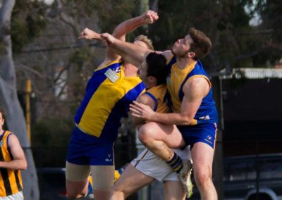 13667843_825076340960716_4563939015208283052_o