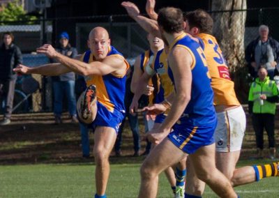 13667891_825076530960697_6034817628342505113_o