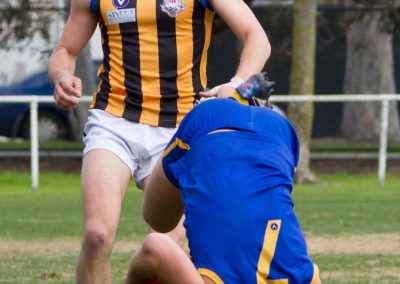 13667942_825076064294077_4449690858072414526_o