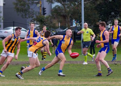 13668666_825075964294087_4015581467556872121_o