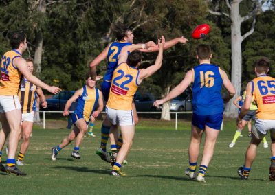 13909039_825076270960723_3143121754050811496_o