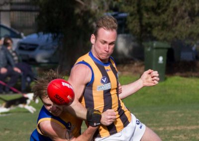 13909210_825076620960688_6907095036013747332_o