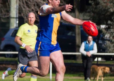 13909212_825076167627400_5855095240296761774_o