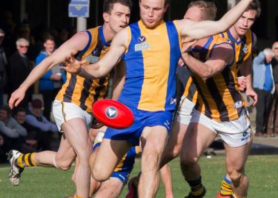 13909349_825076637627353_2636205492636695775_o