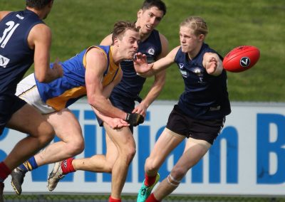 14047373_970662036375547_7326415668568595616_o