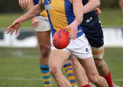 14102891_970664706375280_2827271860227569909_o