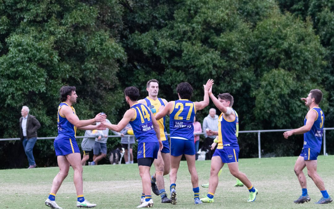 Seniors Match Report: Round 4 2022