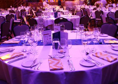 Blue & Gold Ball 2017