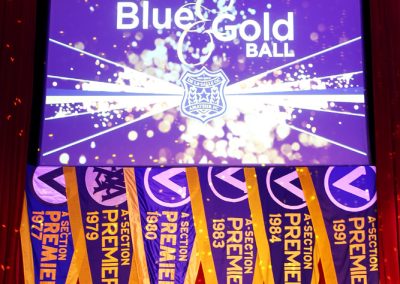 Blue & Gold Ball 2017