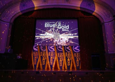 Blue & Gold Ball 2017
