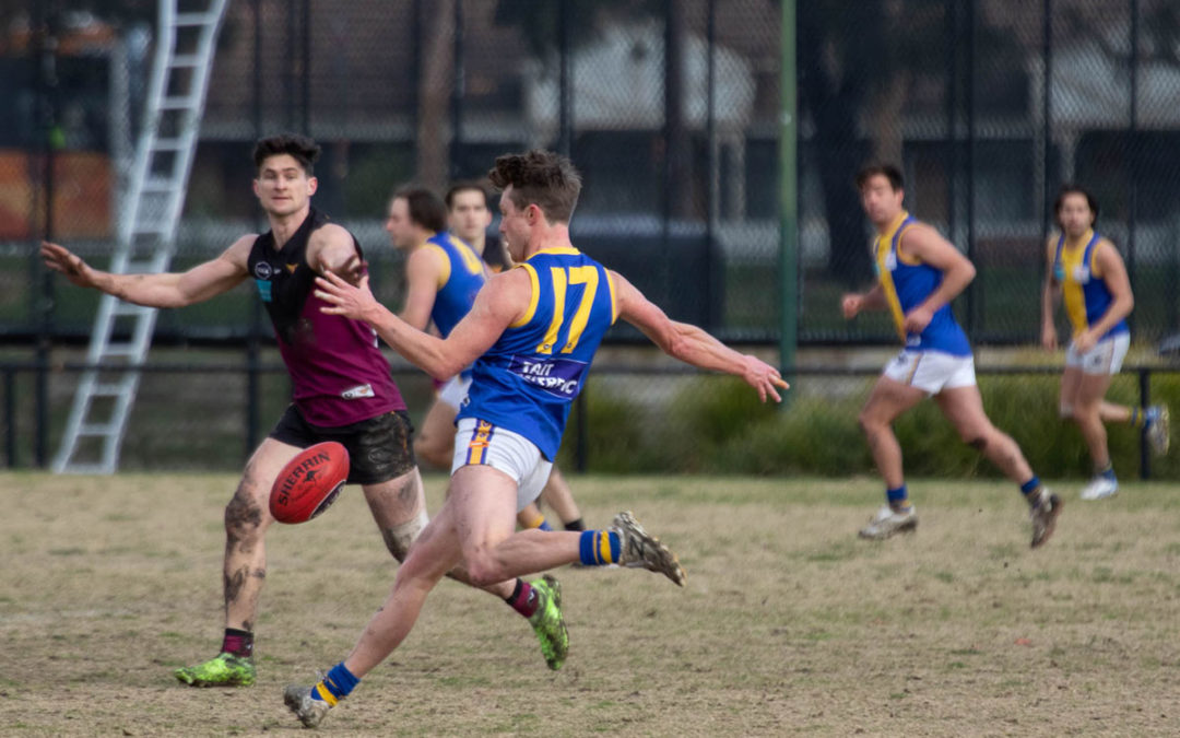 Seniors Match Report: Round 1 2022