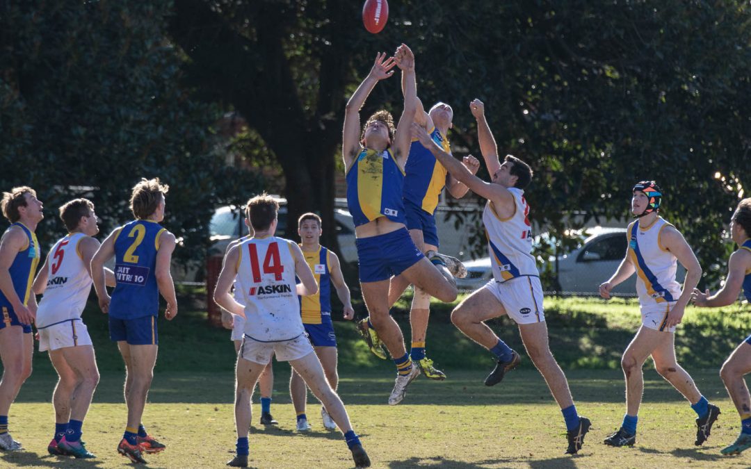 Seniors Match Report: Round 11 2022