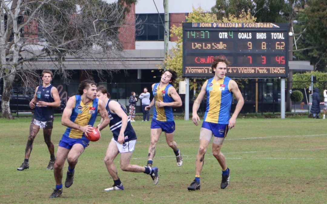 Round 8: Under 19 Blues hang on against Caulfield at home