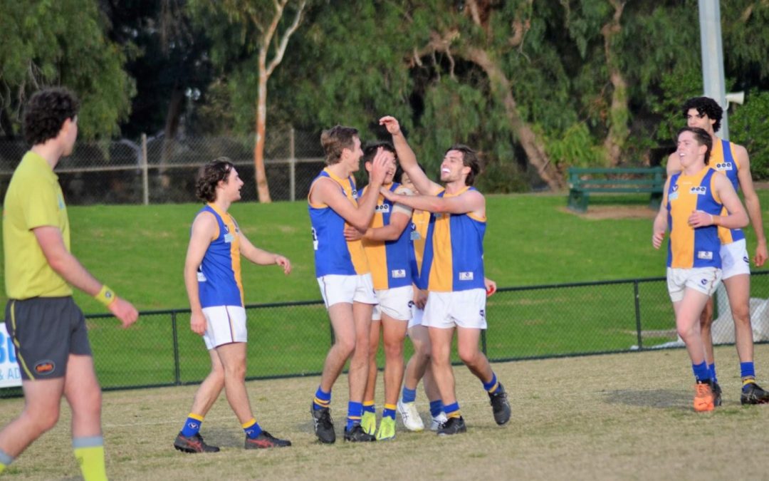 Under 19 Blues Match Report: Round 8 2022